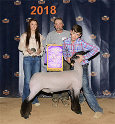 Winners