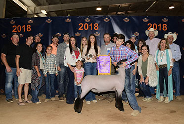 Winners