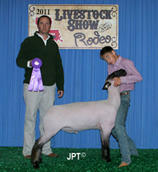 Winners
