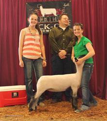 Rule Sheep Co Winners