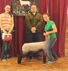 Rule Sheep Co Winners