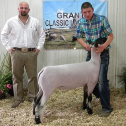 Rule Sheep Co Winners