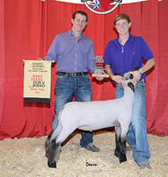 Winners