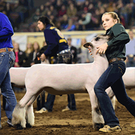 Winners