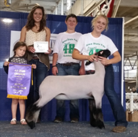 Gunsmoke Winners