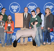 Polar Vortex Winners